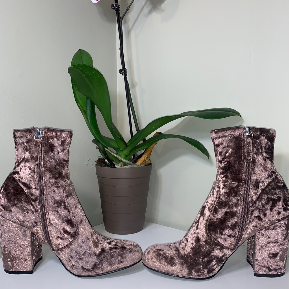 Steve Madden Booties!